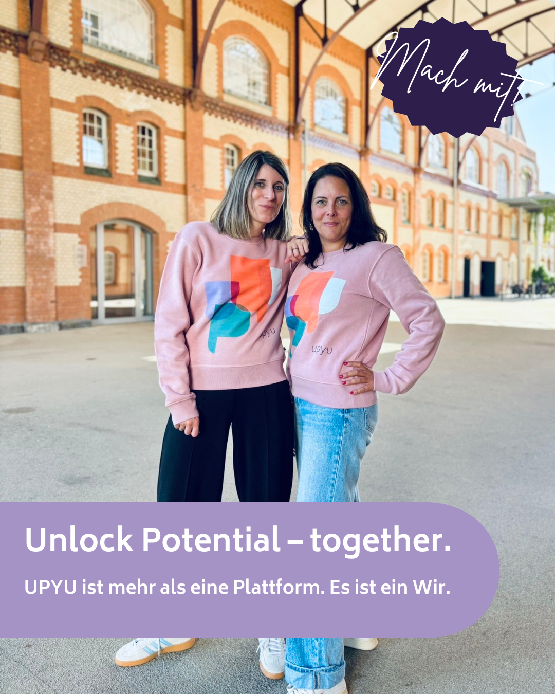 Pullover-Aktion Pullover-Aktion