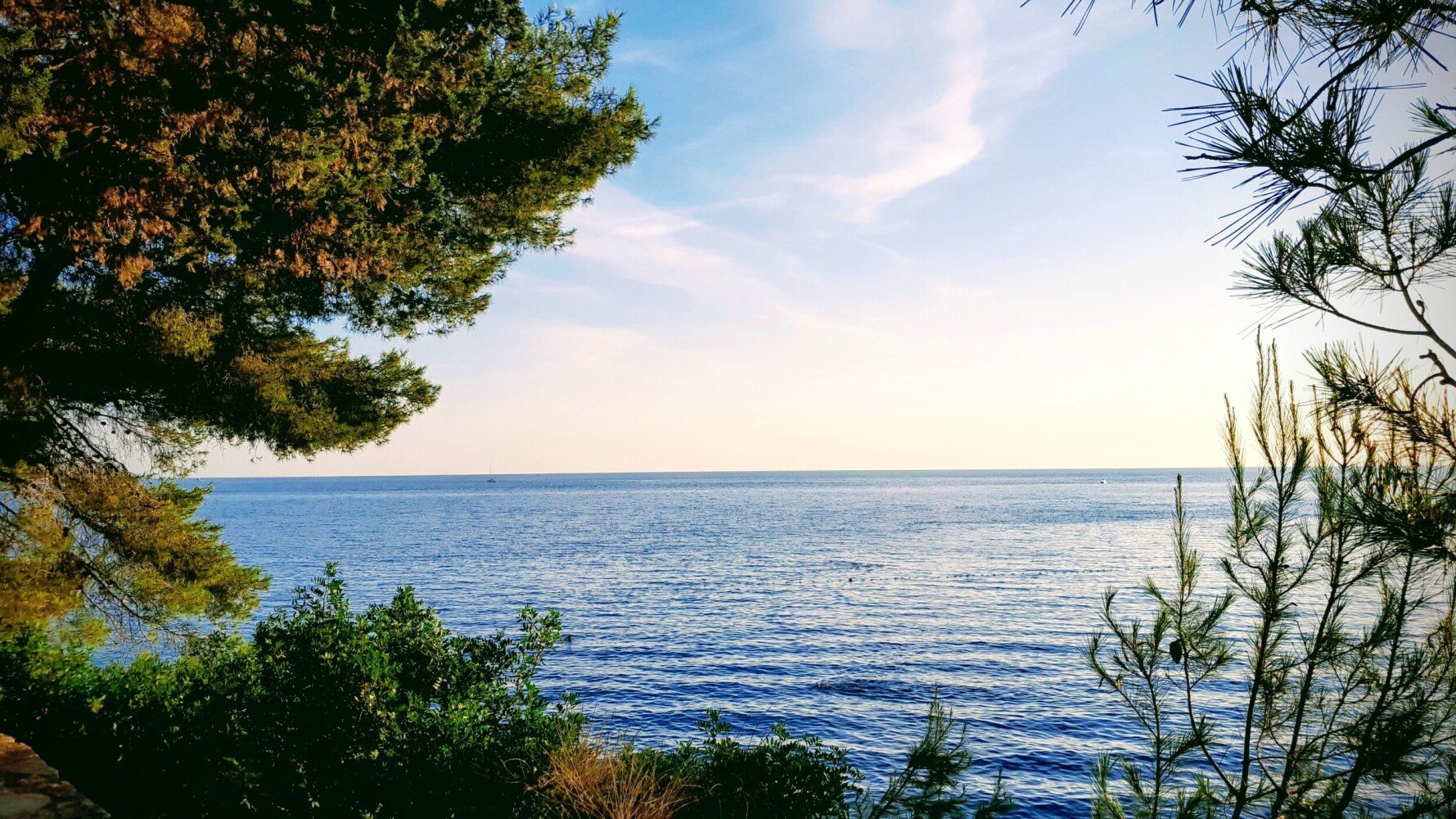 Edina 20230714 195207-EFFECTS